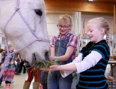 Banner County Students Visit Animals At Classroom Petting Zoo