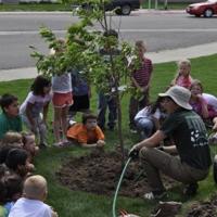 Tree Planting at Geil Elementary