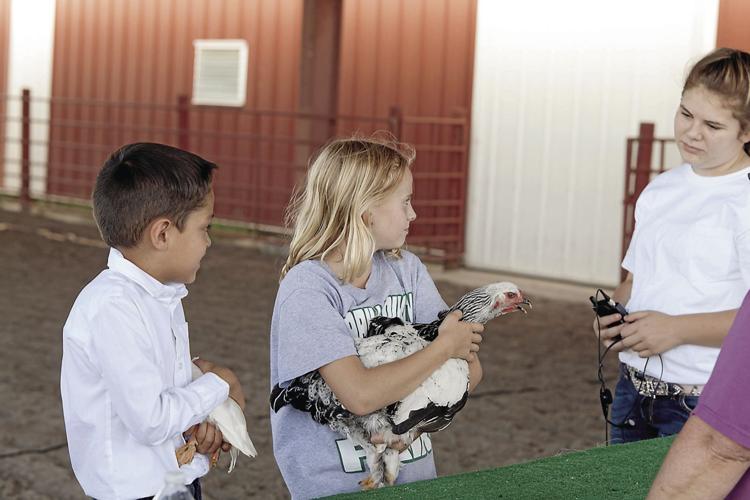 Morrill County Fair off and running, activities planned throughout the week