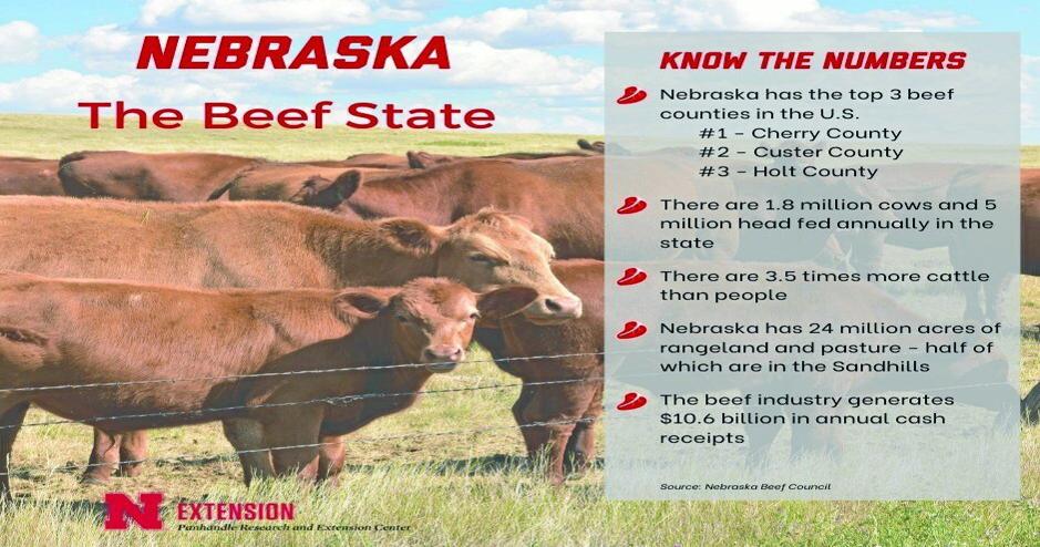 PANHANDLE PERSPECTIVES: Nebraska – the Beef State