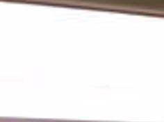 Dog Owners Beware No Cure For Canine Dysautonomia Local Starherald Com