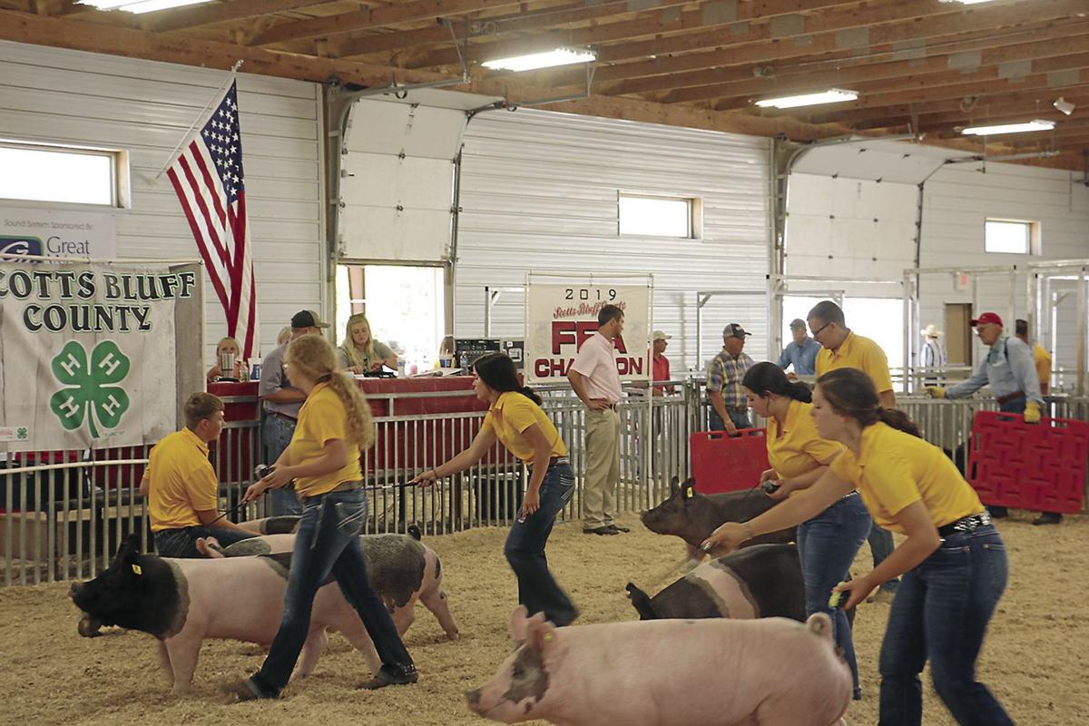 PHOTOS At the Scotts Bluff County Fair 2019 Gallery