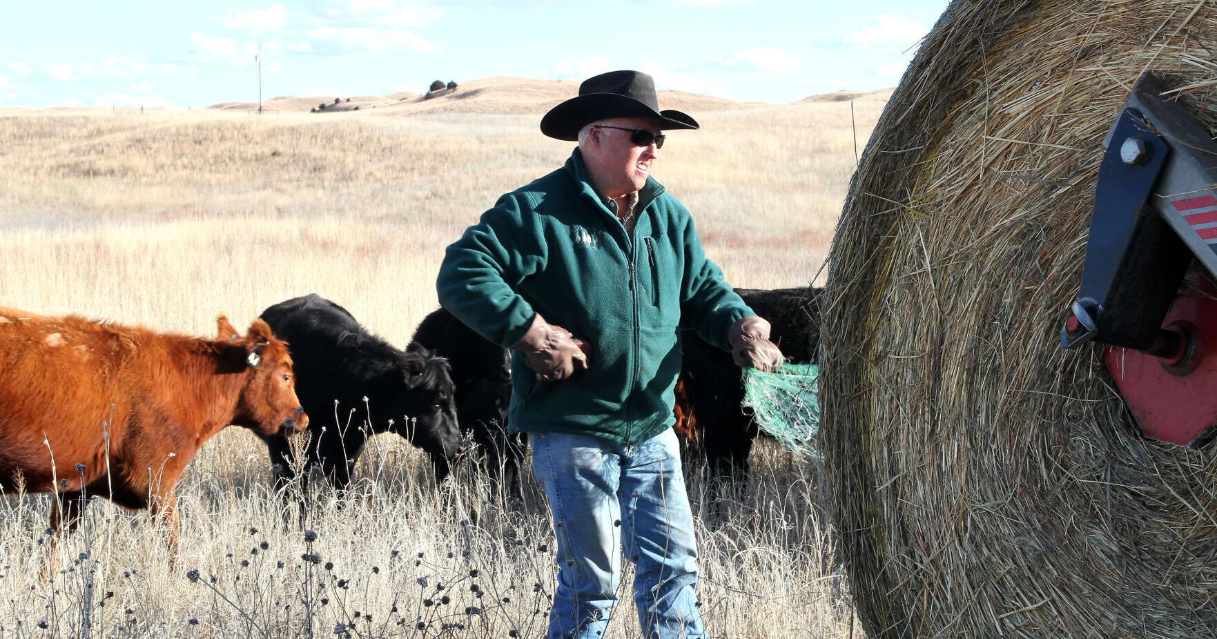 Nebraska Sandhills power line plan stalls for 12 years - Vimarsana News