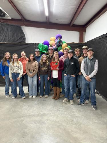 Celebrating a Successful Year in 4-H