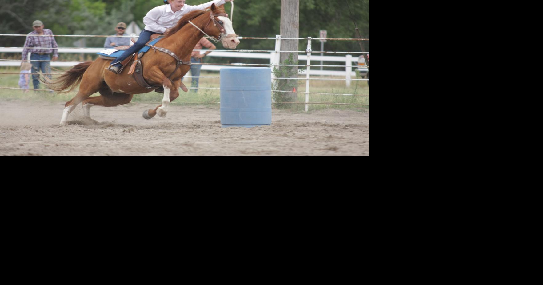 PHOTOS Scotts Bluff County Fair horse show