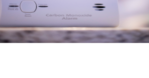 18-year-old woman's death prompts reminder about carbon monoxide detectors - Vimarsana News