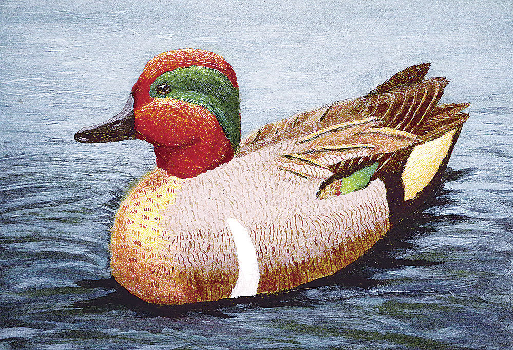 Gering student Jada Schlothauer wins Nebraska Junior Duck Stamp