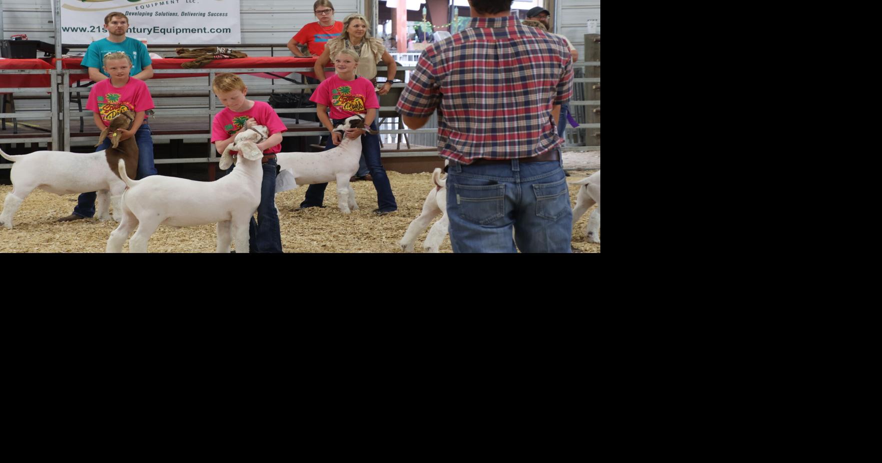 FFA, 4-H members' hard work pays off at goat show