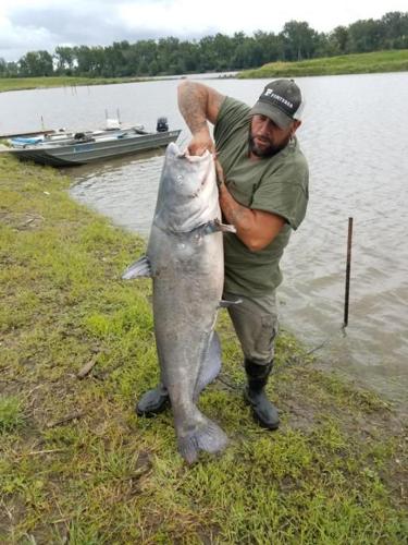 Missouri River fishermen catch 5-foot-1, 113-pound blue catfish, but it's  not a Nebraska record