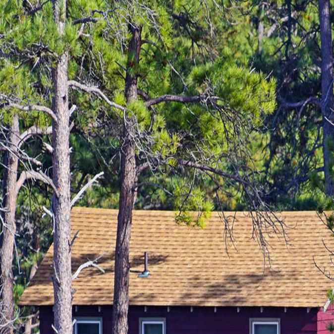 8 Great Places Chadron State Park Places Starherald Com