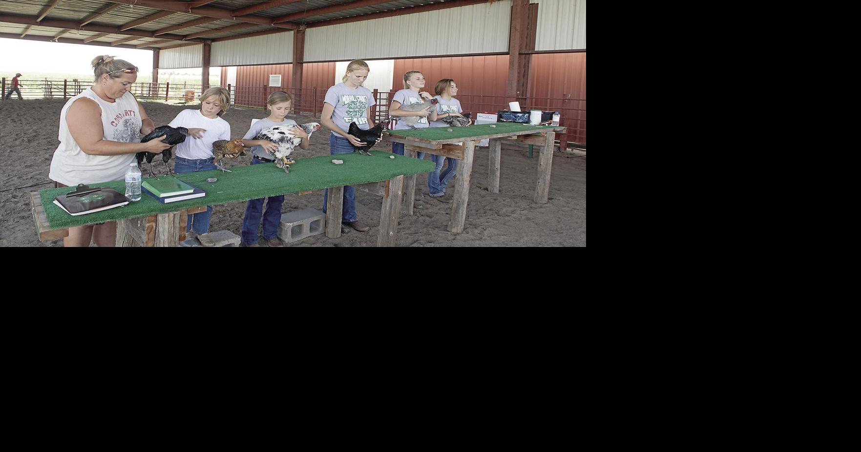 PHOTOS Morrill County Fair 2018