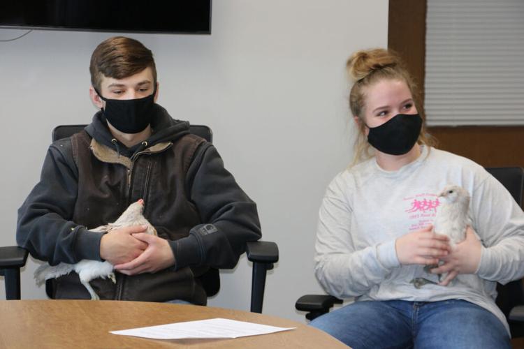 Math and ag classes give chickens new home