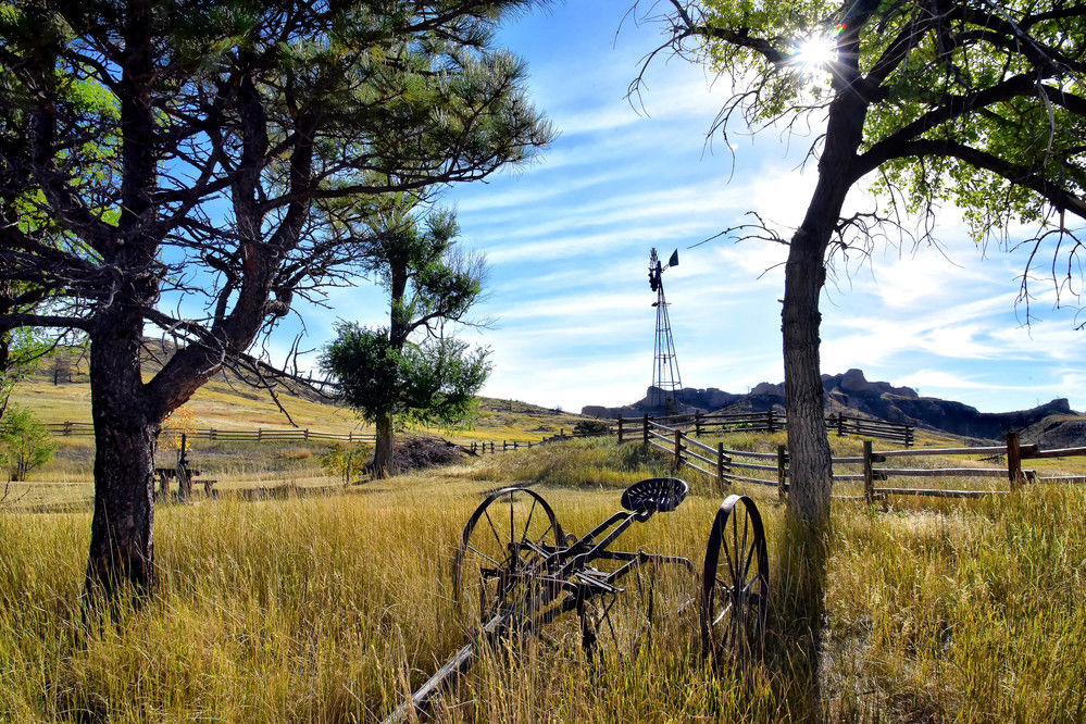 Visiting a unique treasure — Nebraska's National Forest Local News