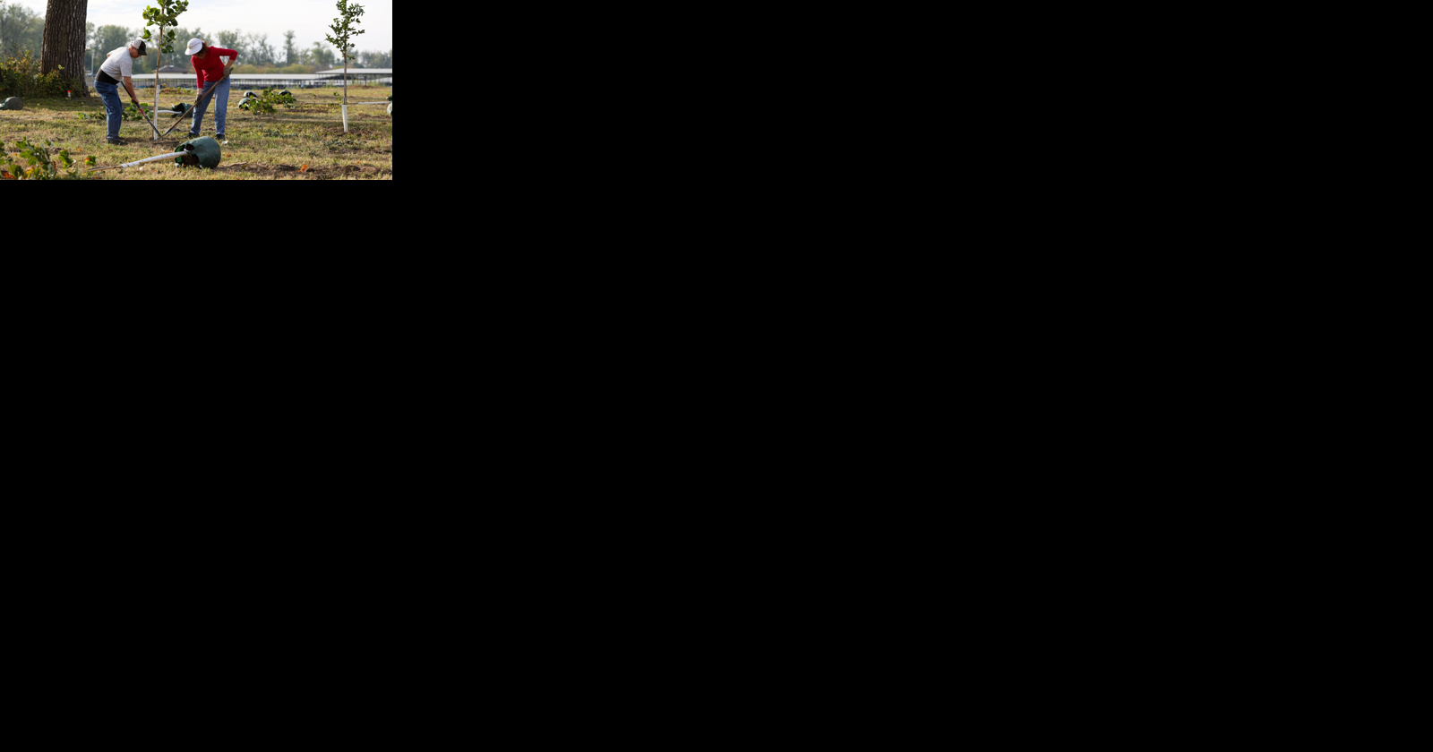 Tree-planting for Nebraska Memorial Forest in second year - Vimarsana News