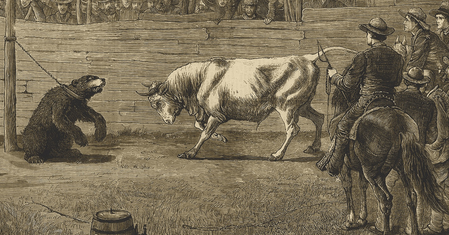 When bear met bull in 1867, some growled over grizzly sight at the Omaha fairgrounds
