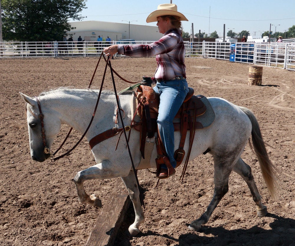 Ranch horses showcase skills at Goshen County Fair | Local | starherald.com