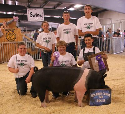 Box Butte County Fair Swine Show Results Latest News Starherald Com