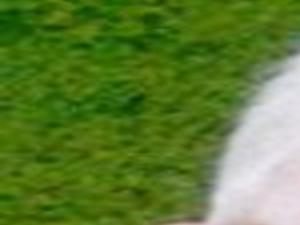 Andrew J Kleager Obituaries Starherald Com