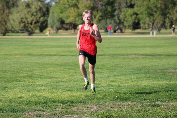 Bobcat XC Head to Districts