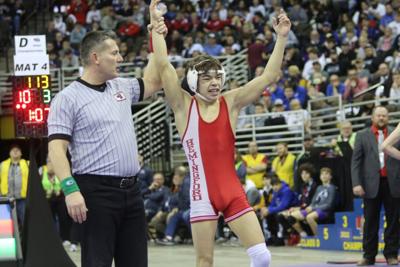 Weber named Wrestling State Champion