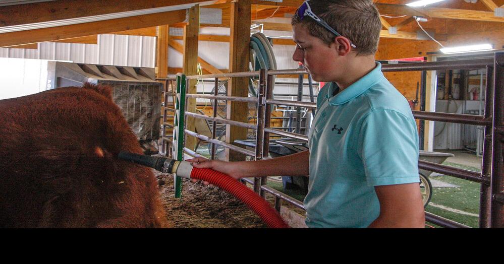 Gering 4H'er Carter Shimic wins livestock exposition