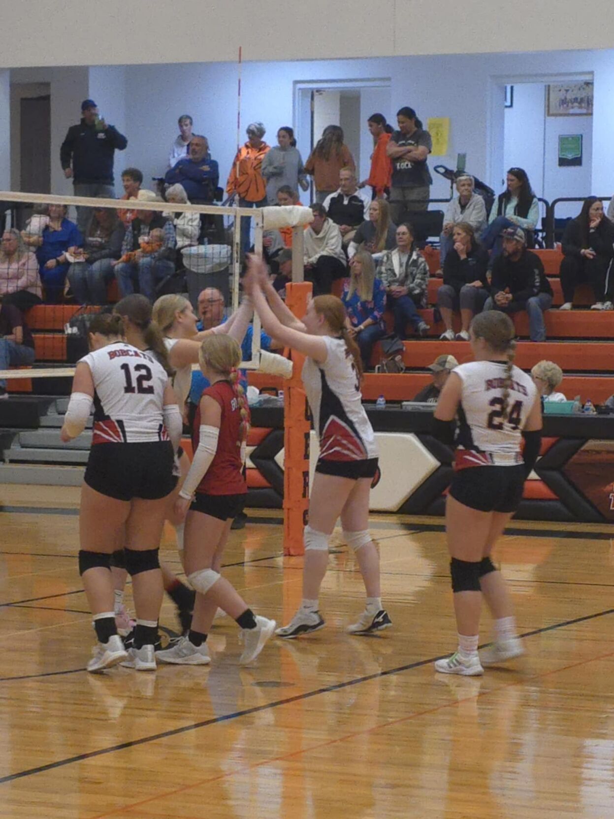 Bobcat Volleyball Season Recap