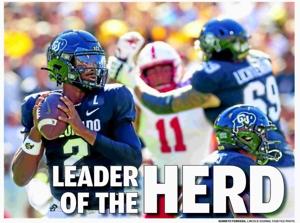 LEADER OF THE HERD