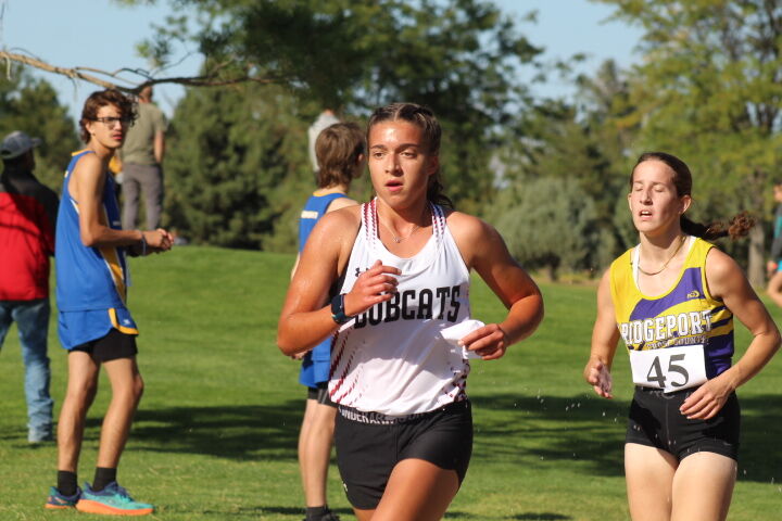 Bobcats Claim WTC Champion Titles