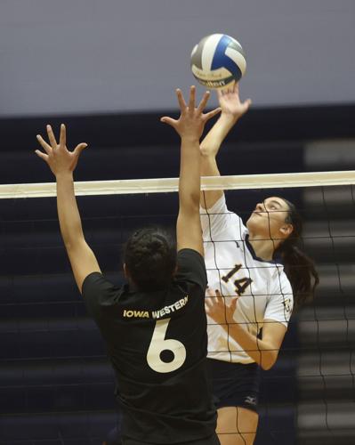 Fava earns NJCAA First Team All-American honor