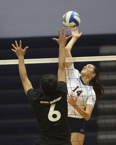 Fava earns NJCAA First Team All-American honor