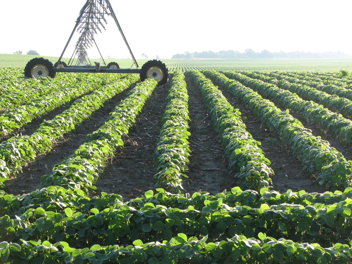 Nebraska Farmer (formerly Working Hands) — Lomah Acres