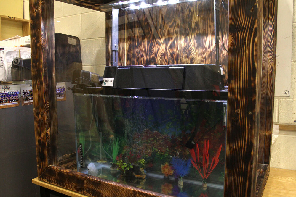 Gering Junior High begins aquaponics projects in ag class