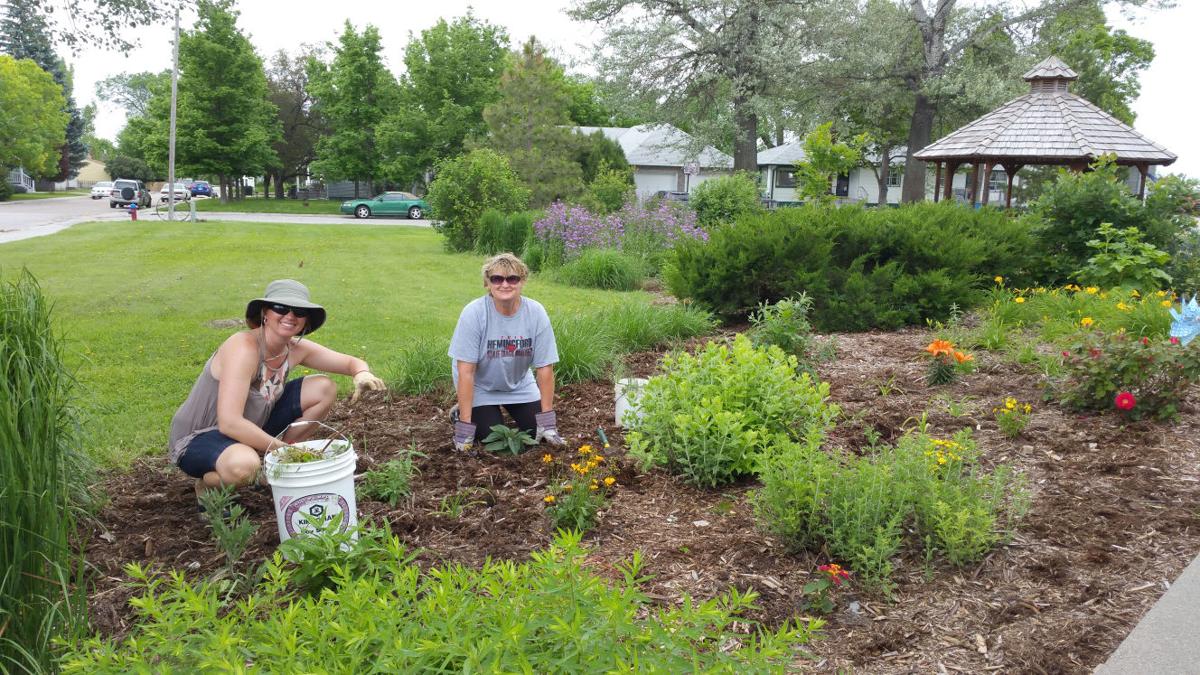 Adopt a section of HCCC prayer garden