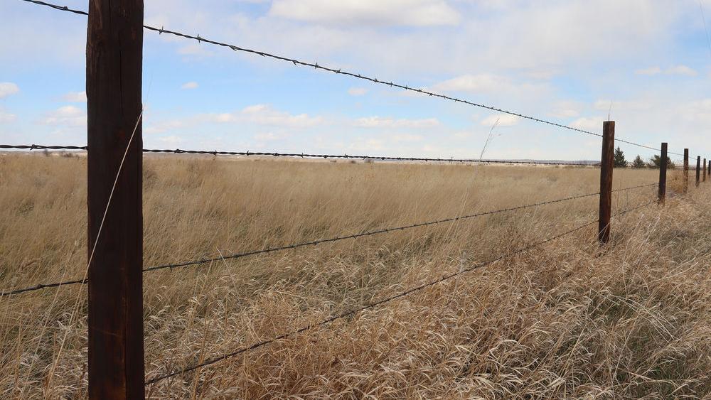 Funding Available For New Fencing Agriculture Starherald Com