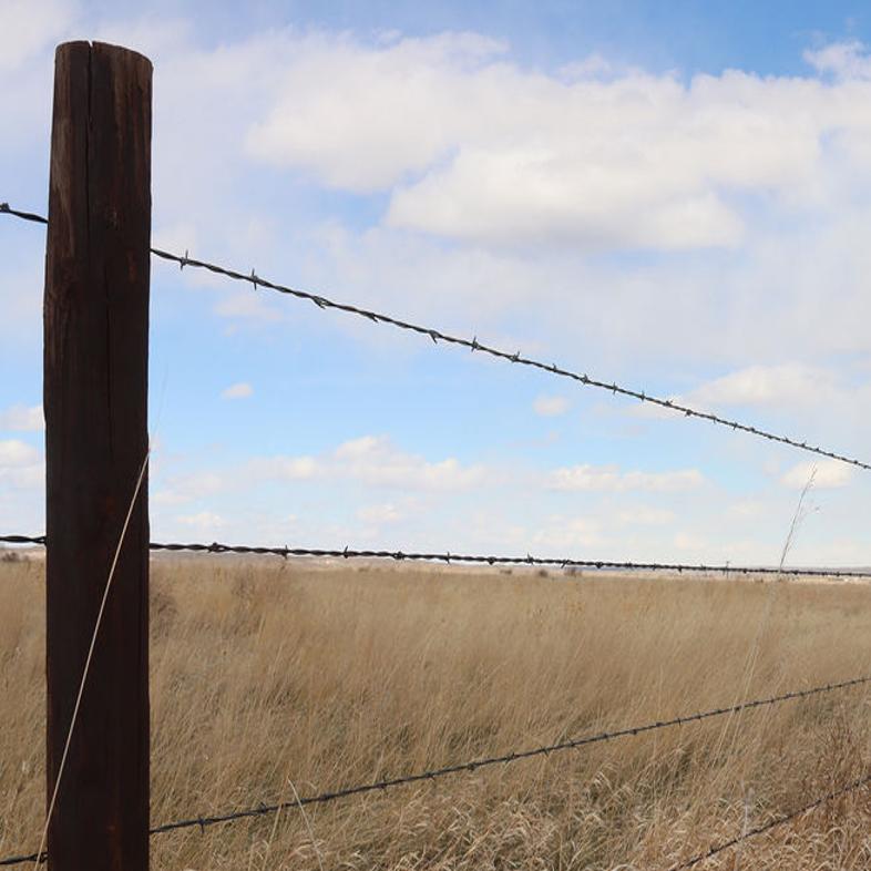 Funding Available For New Fencing Agriculture Starherald Com
