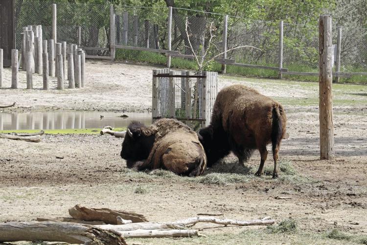 Families invited on summer adventures across Nebraska