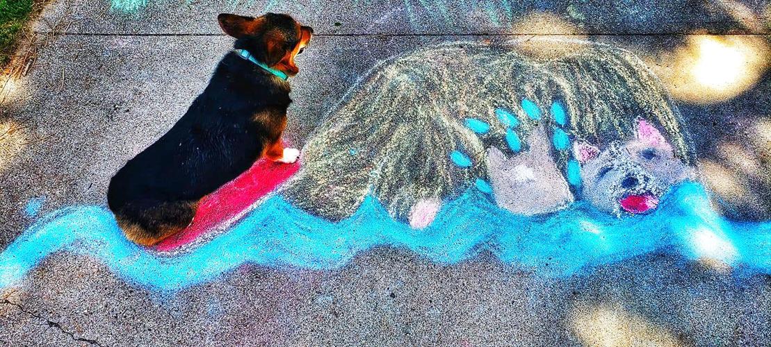 Vote for Chalk the Block Art Contest Winners