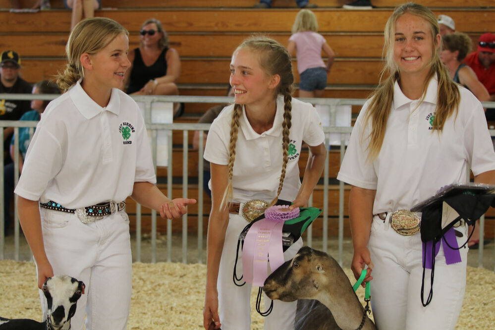 4H'ers compete for dairy goat showmanship titles