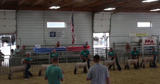 County Fair Animal Shows - Vimarsana News