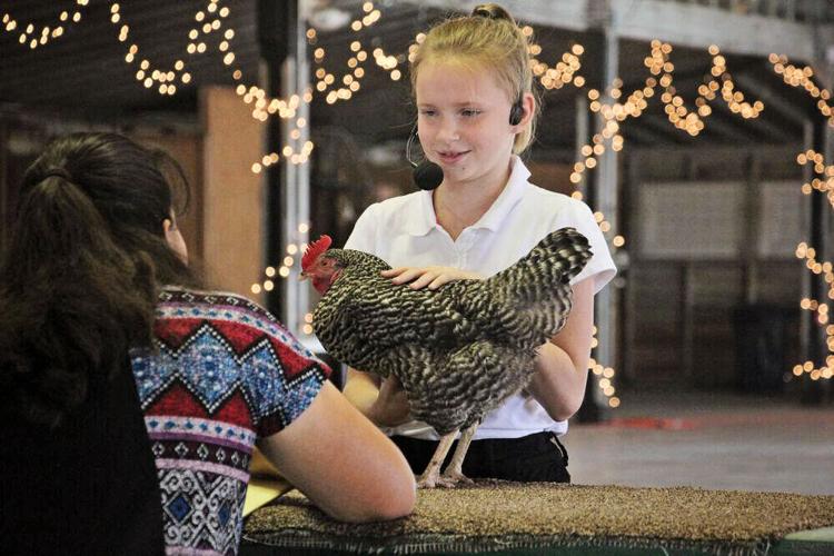 Scotts Bluff County Fair returns for 136th year of actionpacked fun