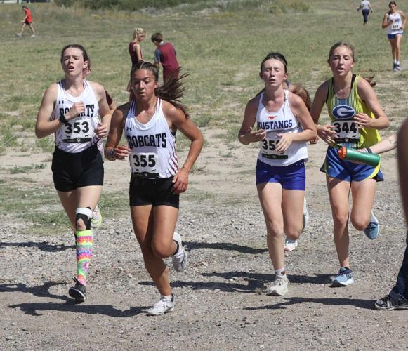 Hemingford Cross Country Scoreboard