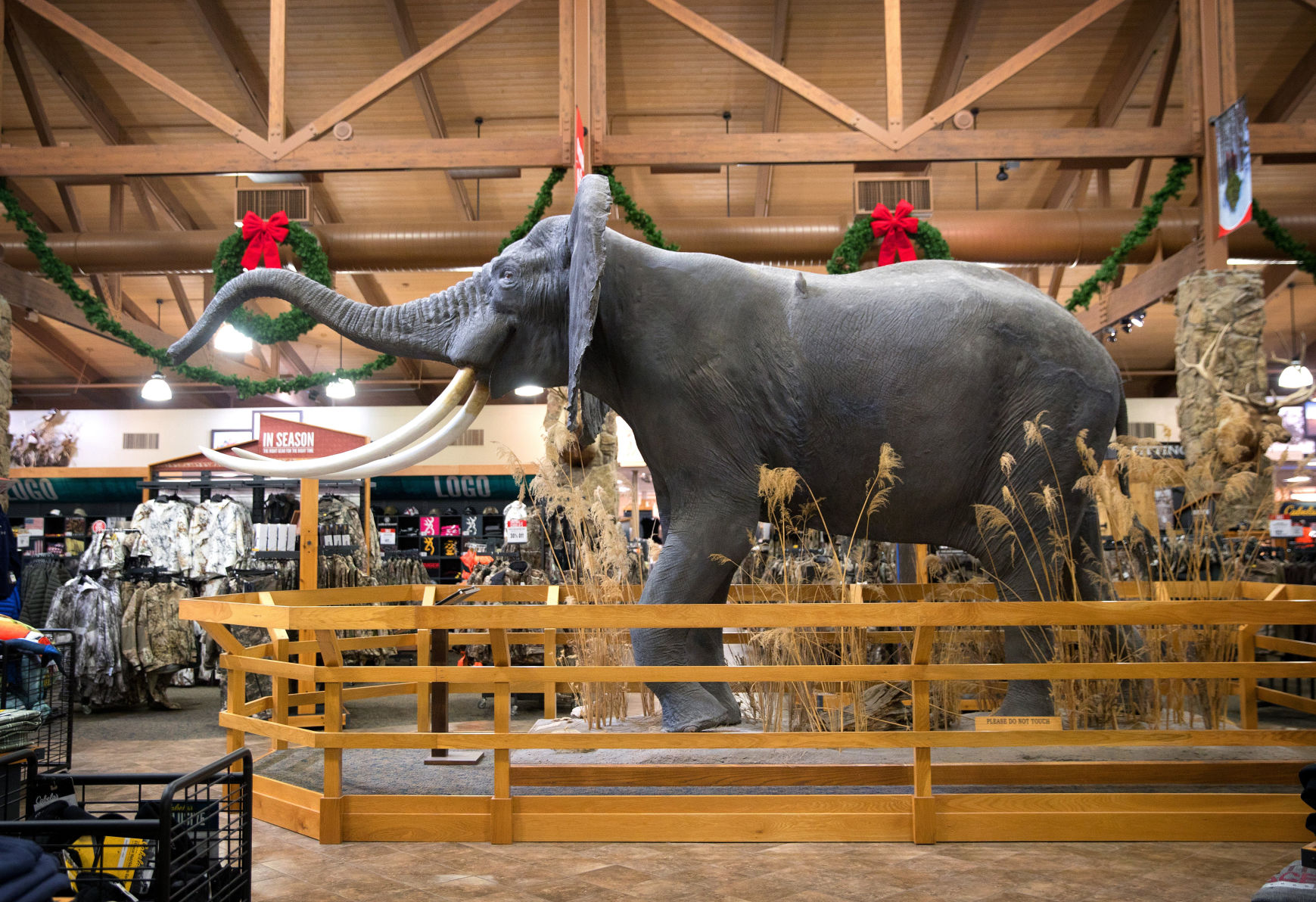 cabela's lincoln logs