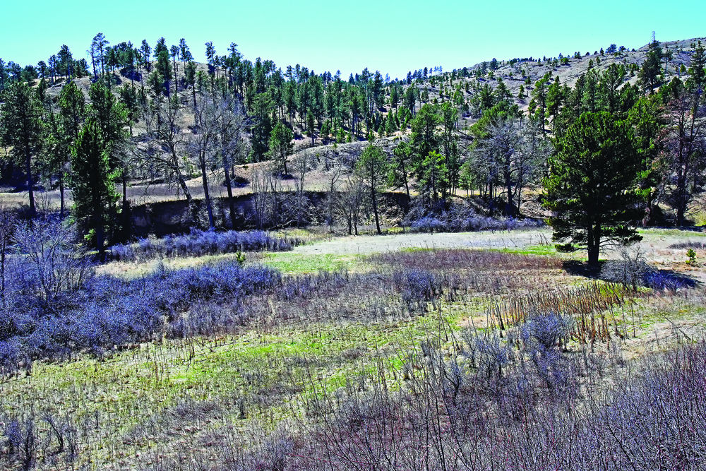 8 Great Places Soldier Creek Places