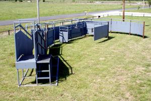 Cattle Working Equipment