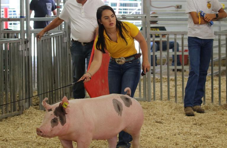 Scotts Bluff County Fair FFA results