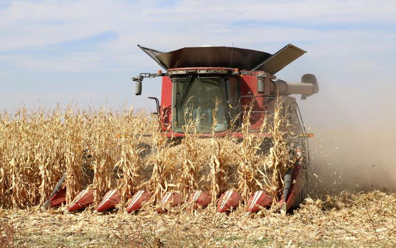 Soil experts recommend leaving crop residue in their fields