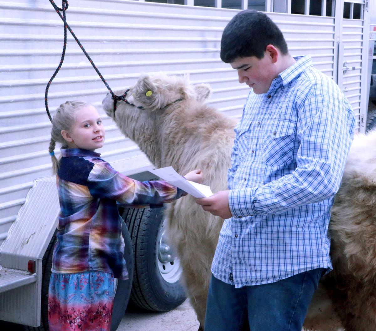 Banner County Students Visit Animals At Classroom Petting Zoo