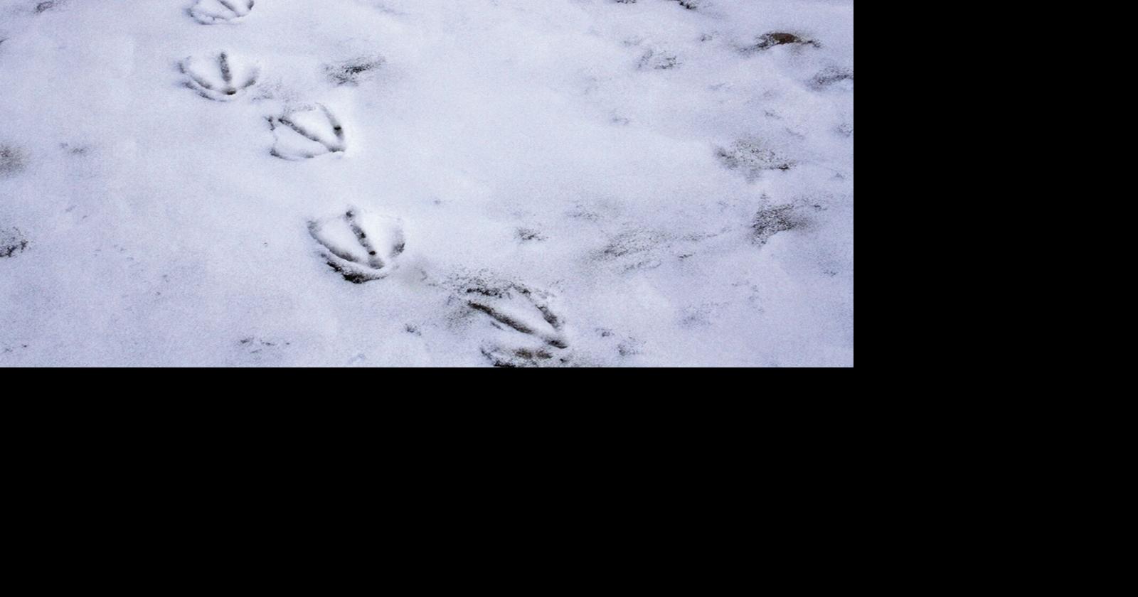 Lake Minatare remains closed