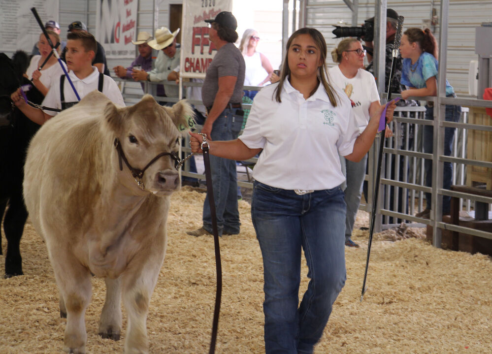 New competitor does well at fair