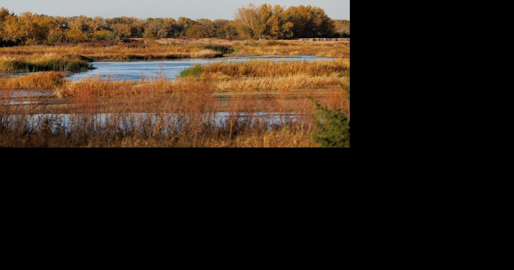 D. Jake Roberts: Water does what water does